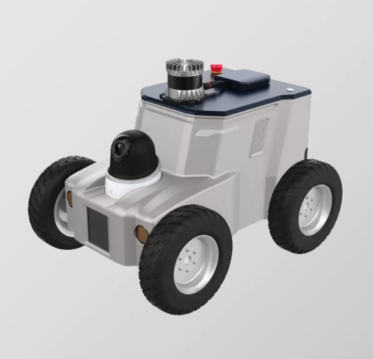 �����������Ȼ�����